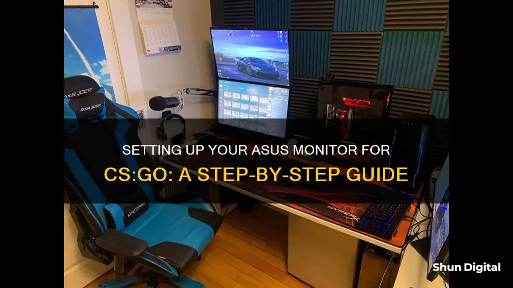 how to setup asus monitor for cs go