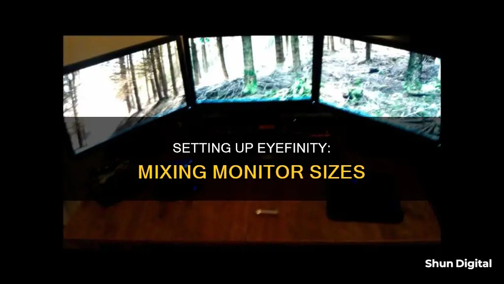 how to setup eyefinity with different size monitors