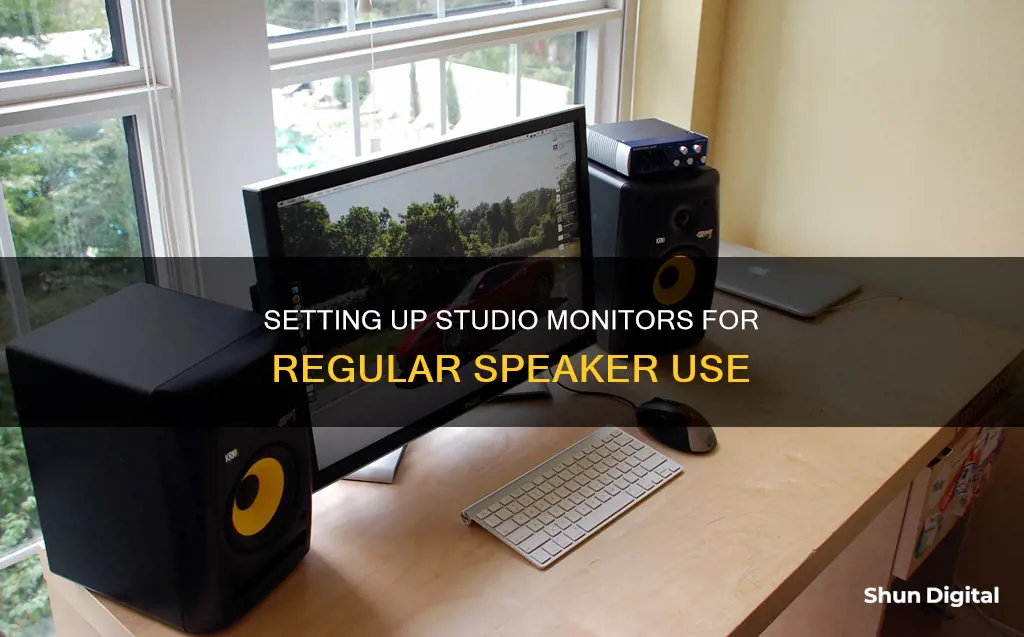 how to setup studio monitors as regular speakers