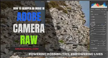 Sharpening Images: Adobe Camera Raw's Powerful Tools