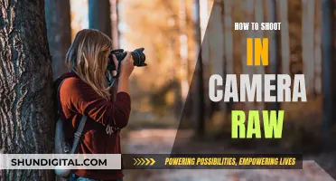 Unleashing Photography: Shooting in RAW for Beginners