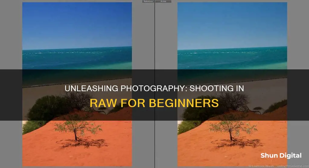 how to shoot in camera raw