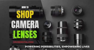 Choosing Camera Lenses: A Guide to Shopping for Beginners