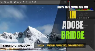 Displaying Camera Raw Data in Adobe Bridge: A Step-by-Step Guide