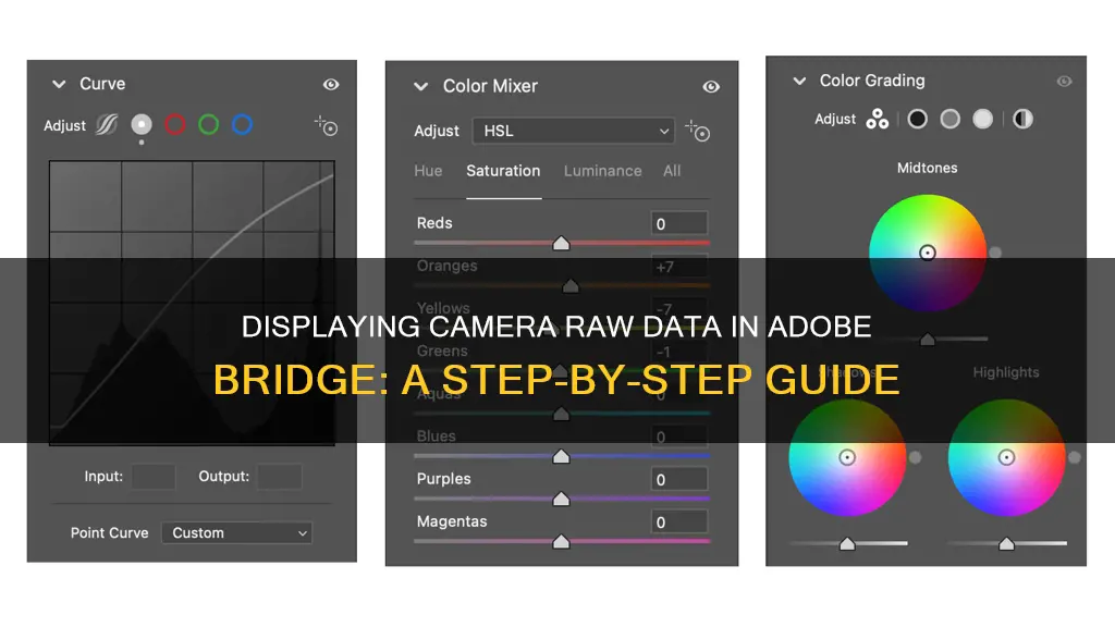 how to show camera raw data in adobe bridge