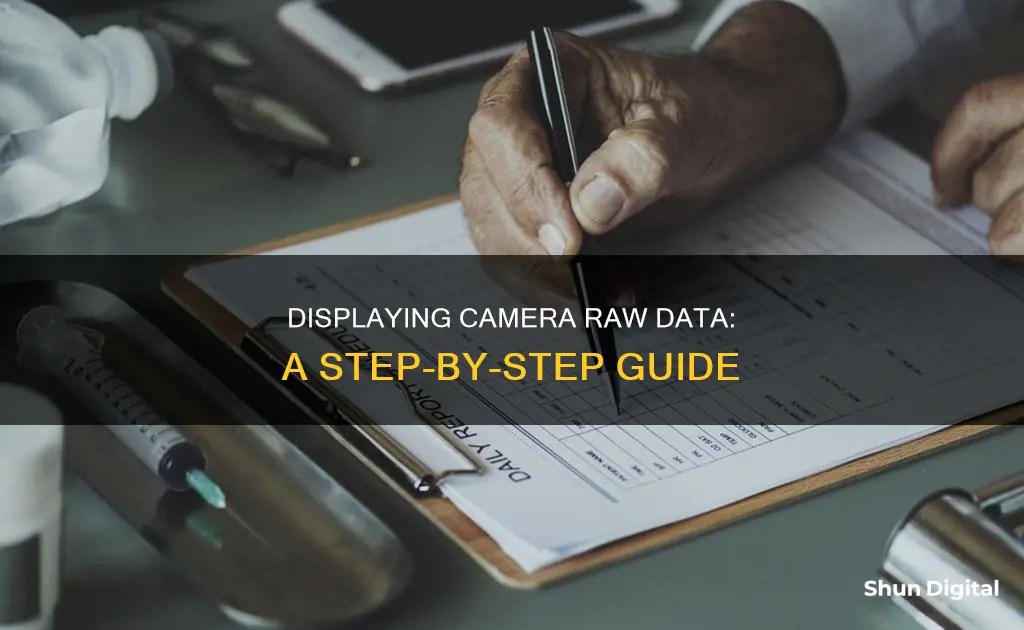 how to show camera raw data