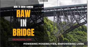 Unleash Camera Raw: Bridge's Hidden Gem