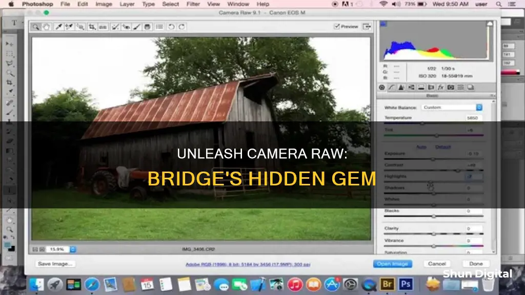 how to show camera raw in bridge