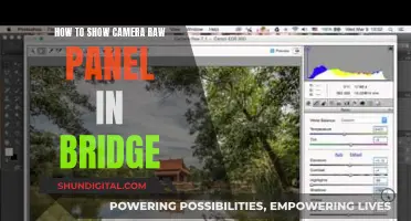 Unveiling Camera Raw Panel in Bridge: A Step-by-Step Guide