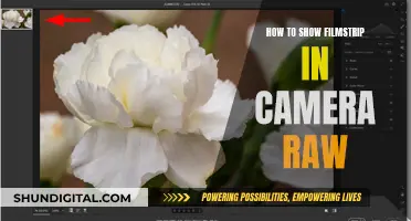 Displaying Filmstrip in Camera Raw: A Quick Guide