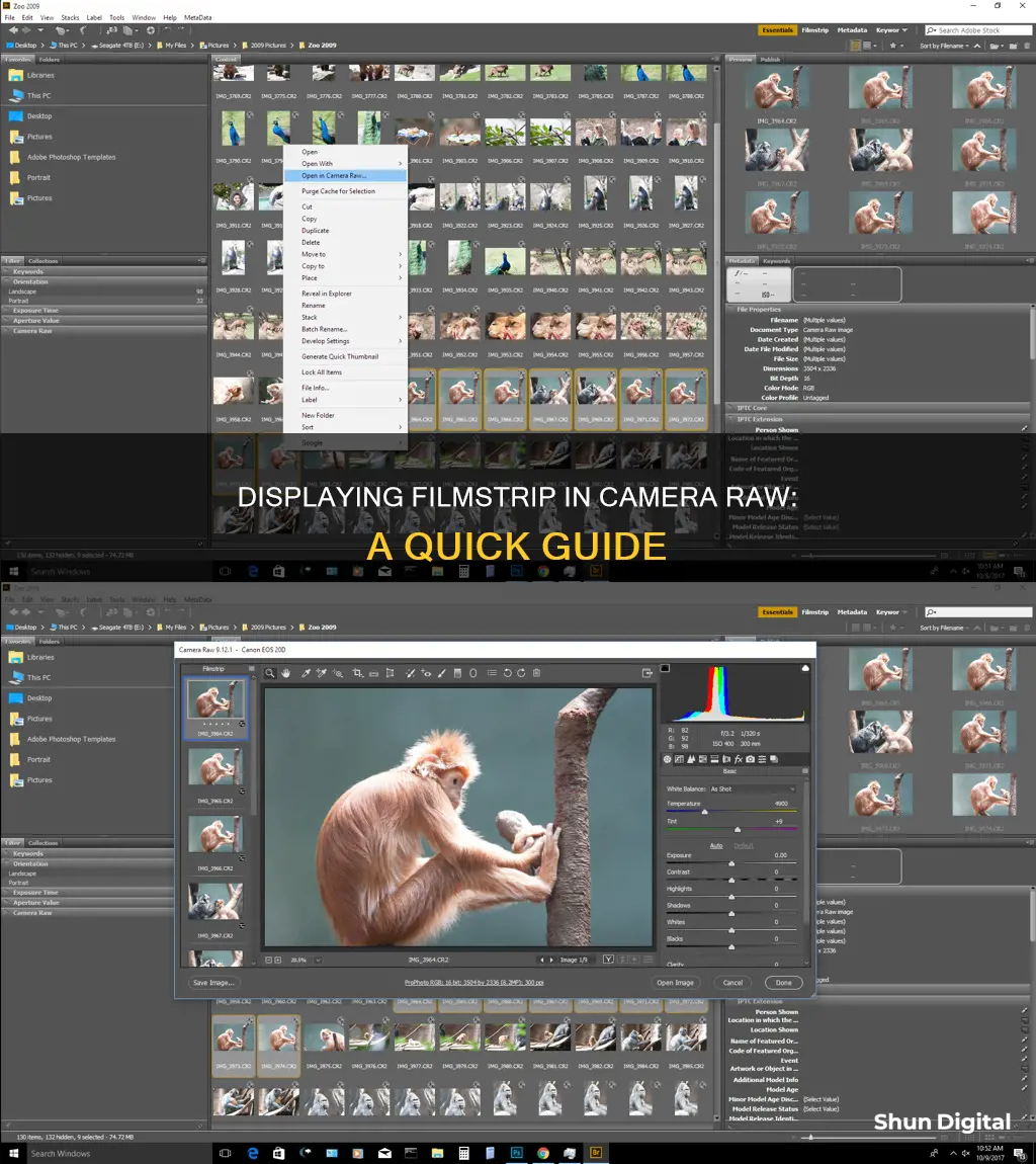 how to show filmstrip in camera raw