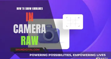 Displaying Gridlines: Camera Raw's Secret Weapon