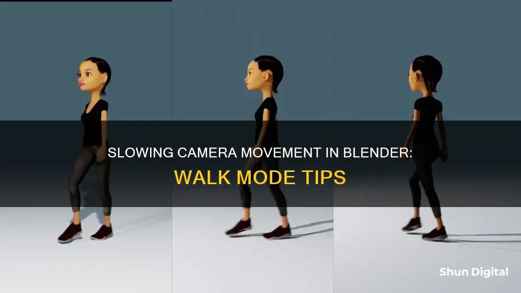 how to slow the camera down in blender walk mode