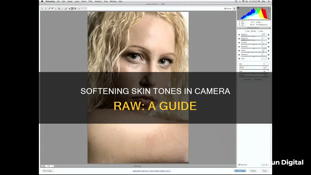 how to soften skin camera raw