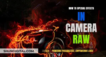 Unleash Special Effects: Camera Raw Power