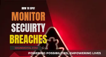 Monitor Security: Spotting and Preventing Breaches