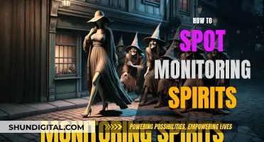 Spirits Among Us: How to Spot Monitoring Spirits