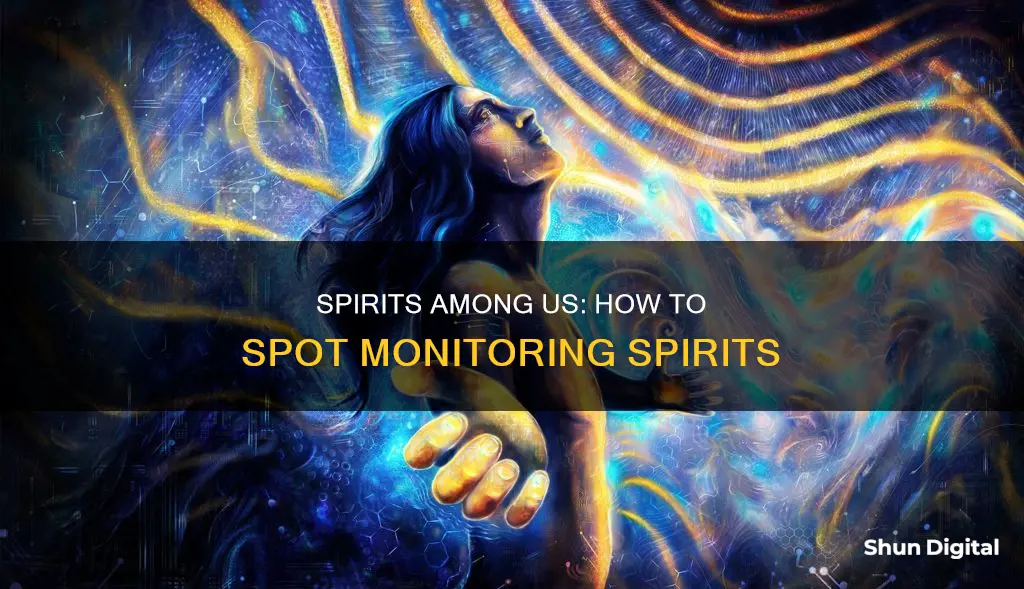 how to spot monitoring spirits