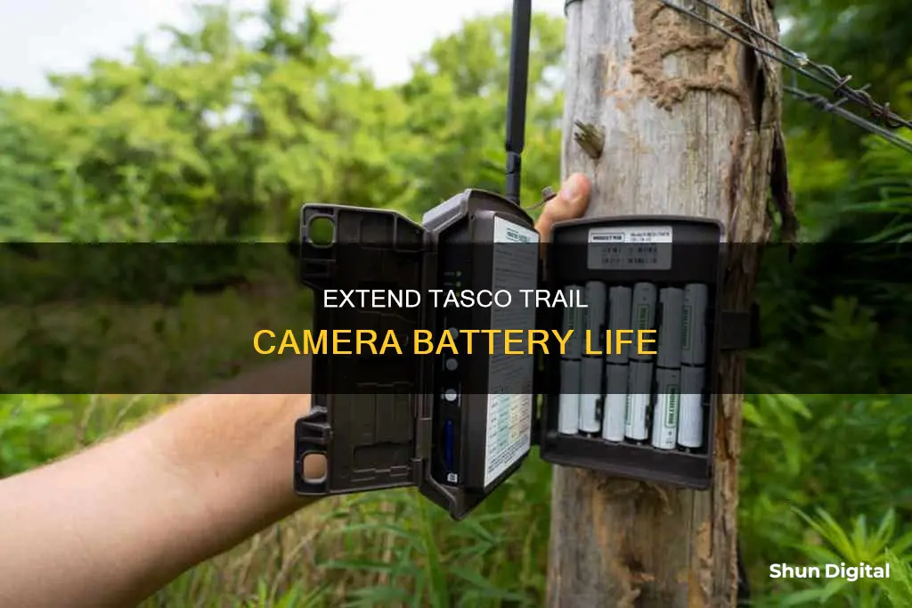 how to stop tasco trail cameras from killing batteries