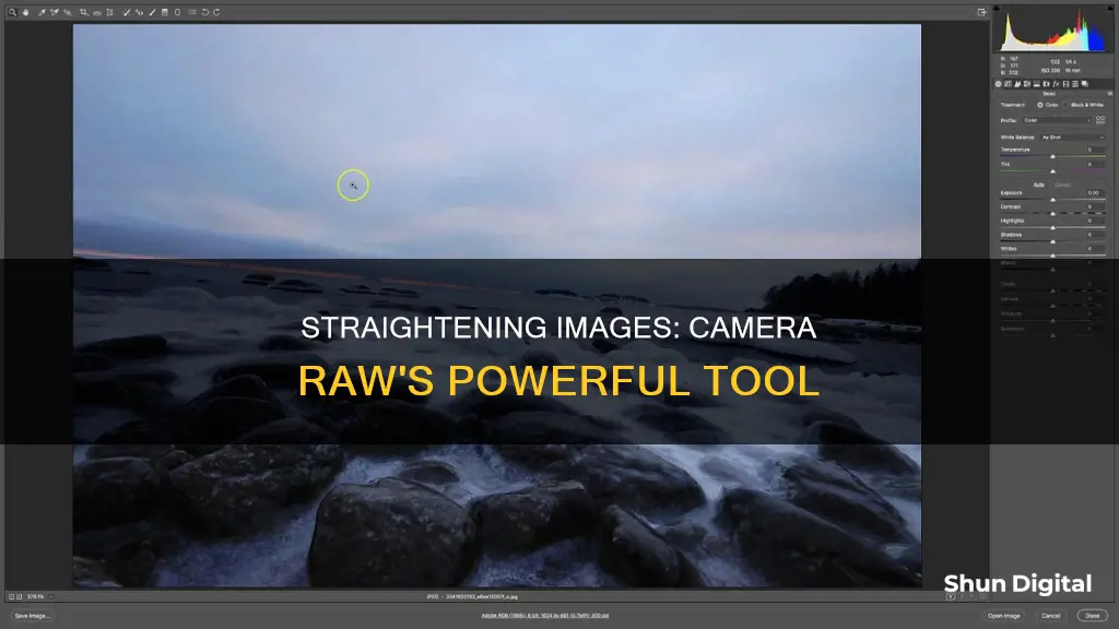 how to straighten an image in camera raw