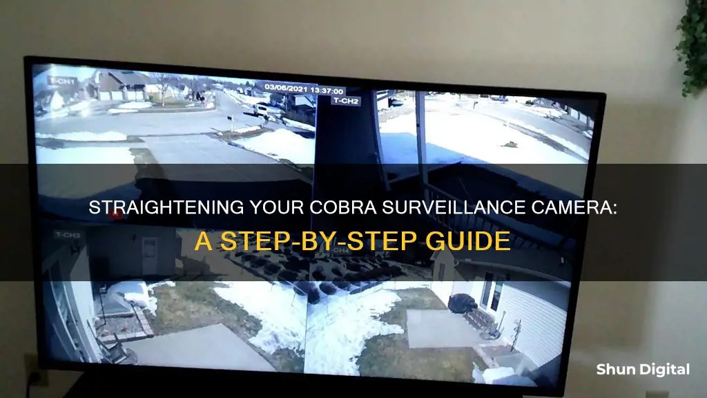 how to straighten up a camera on a cobra surveillance