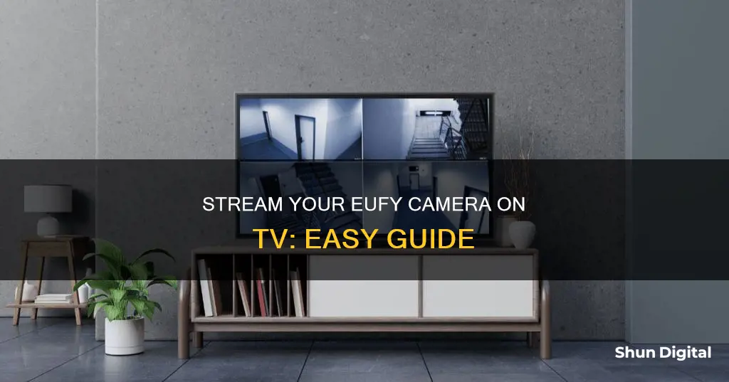 how to stream eufy camera on tv