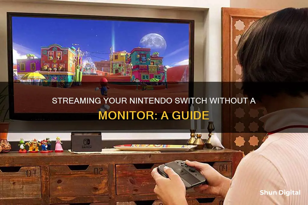 how to stream nitendo switch without monitor