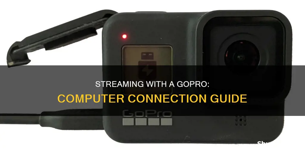 how to stream with gopro camera on computer