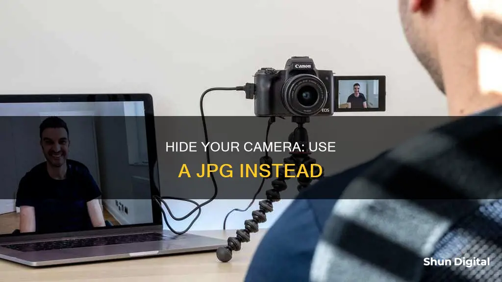 how to substitute a jpg for computer camera