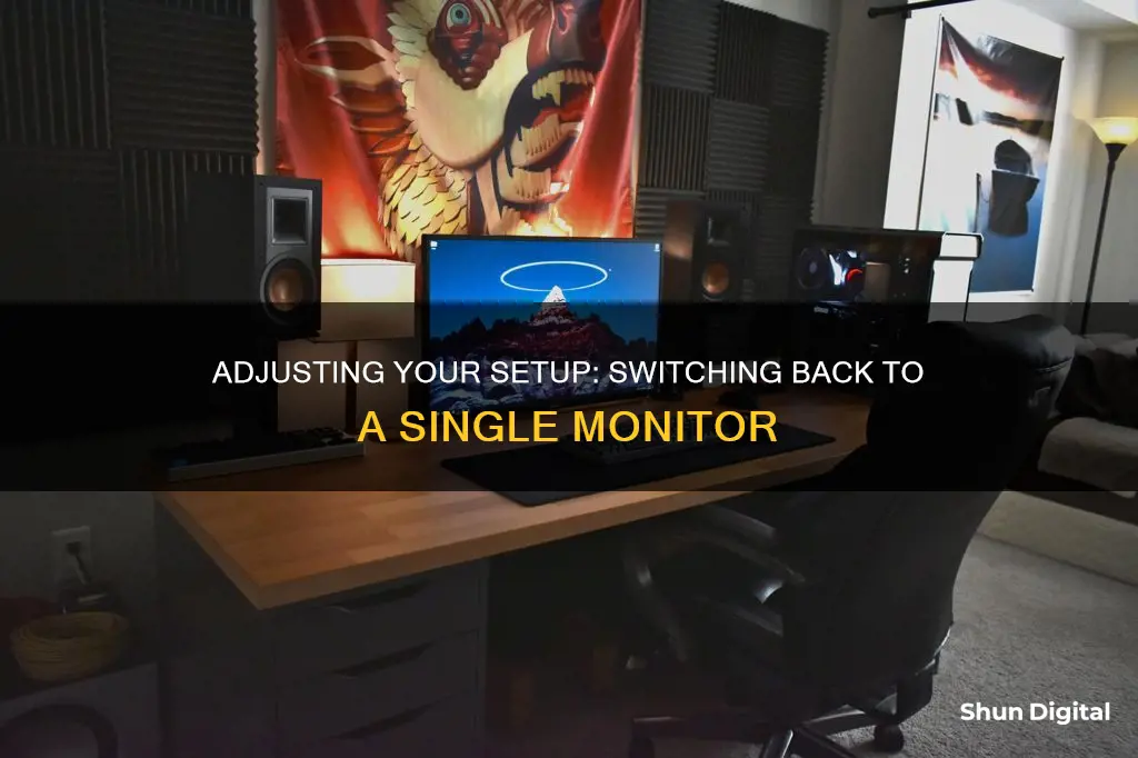 how to switch back to one monitor