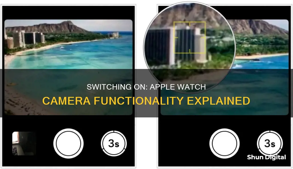 how to switch camera on apple watch