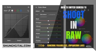 Unleashing Your Camera's RAW Potential: A Guide