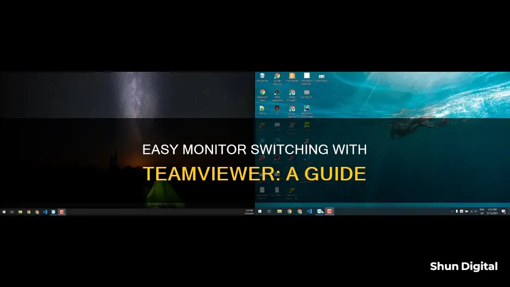 how to switch metween monitor teamviewer