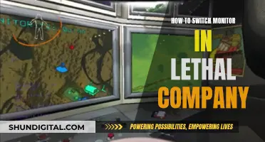 Switching Monitors: A Guide to Navigating Lethal Companies