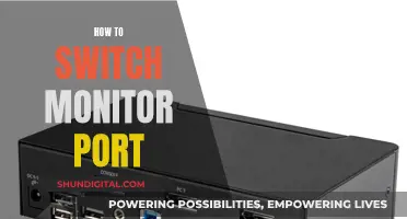 Switching Monitor Ports: A Simple Guide to Success