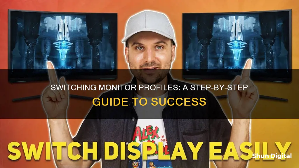 how to switch monitor profiles