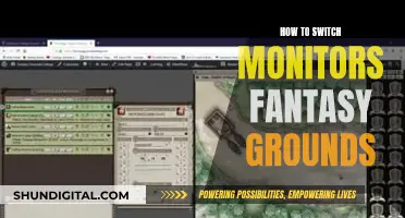 Switching Monitors: A Guide for Fantasy Grounds Users