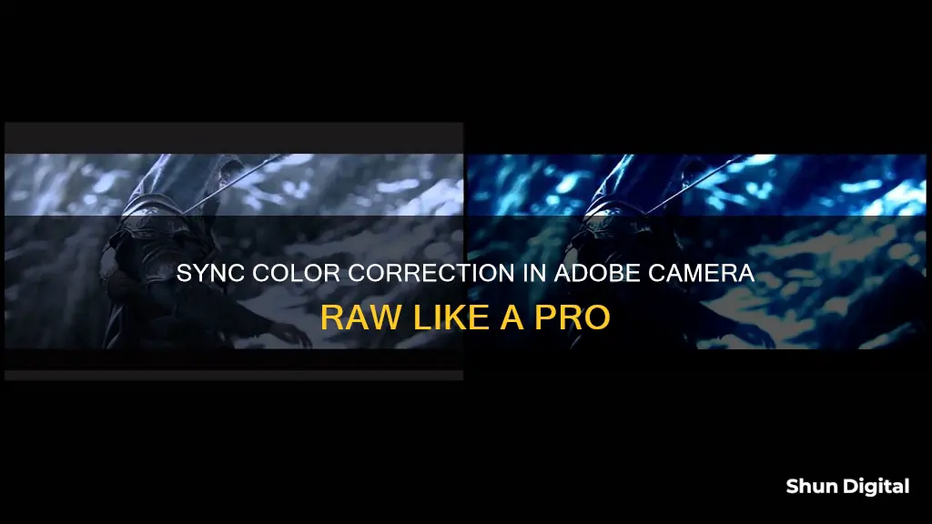 how to synch color correction in adobe camera raw