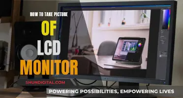 Capturing LCD Monitors: Tips for Perfect Pictures