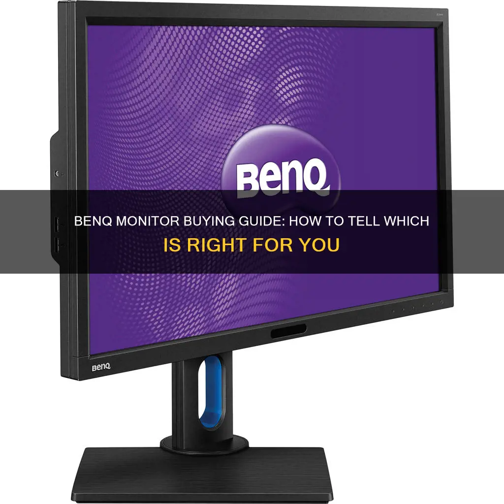 how to tell benq specific monitor