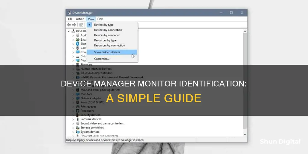 how to tell between monitors in device manager