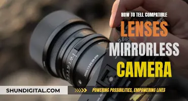 Finding the Right Mirrorless Camera Lenses