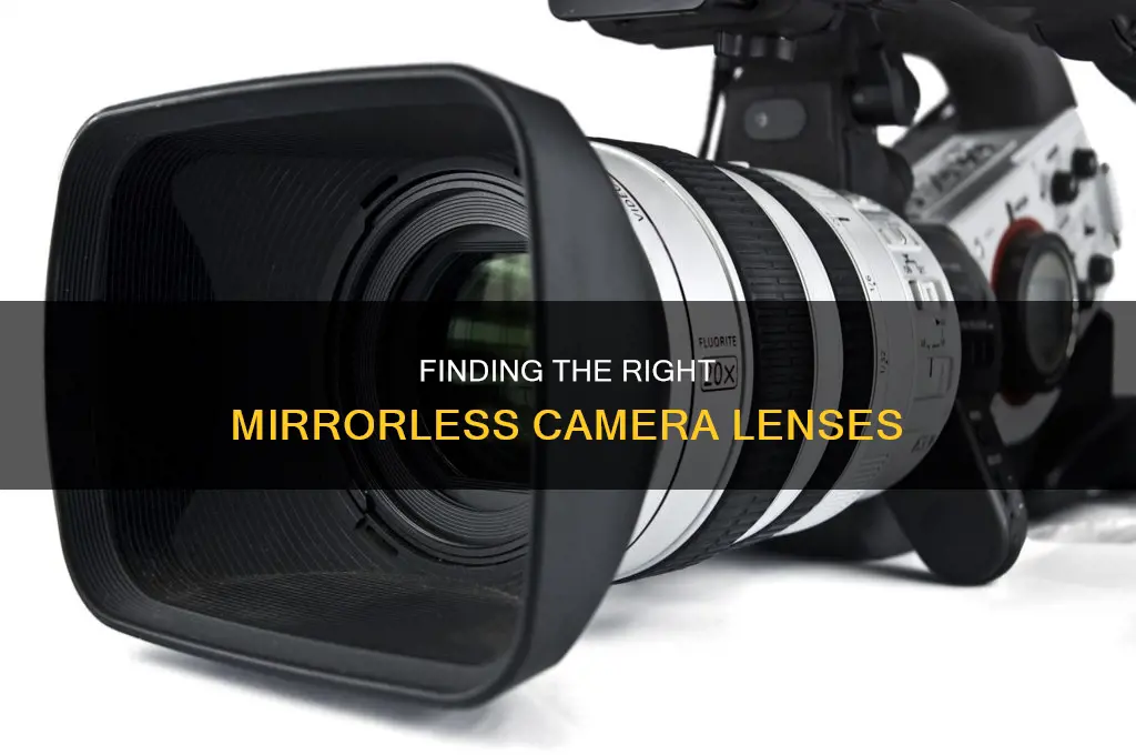 how to tell compatible lenses mirrorless camera