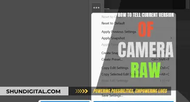 Discovering Your Camera Raw Version: A Guide