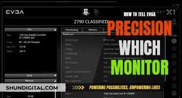 Precision Monitor Control: Evga's Guide to Screen Selection