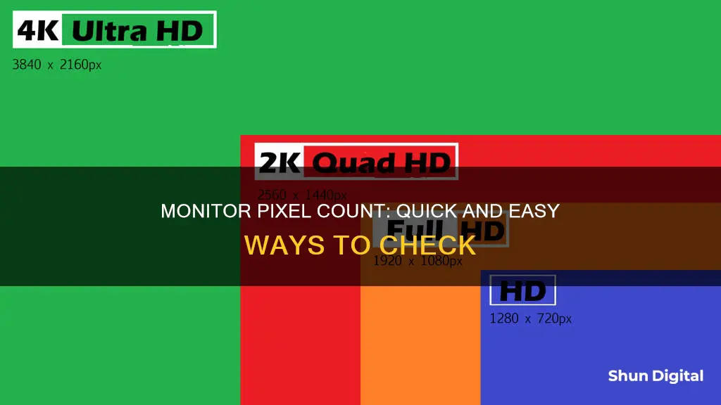 how to tell how many pixels my monitor is