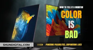 Monitor Color Accuracy: How to Spot Bad Screens