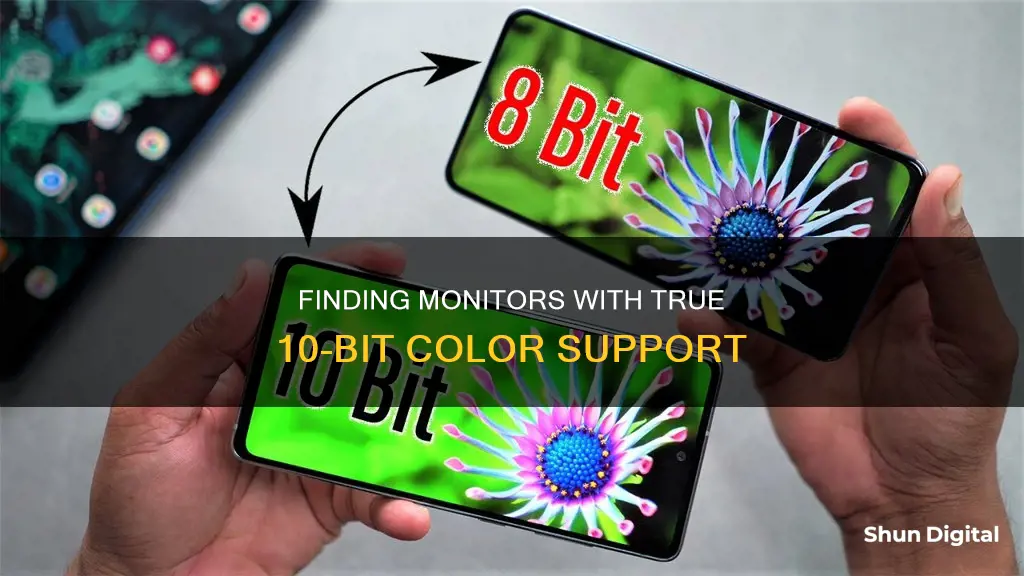 how to tell if a monitor is 10 bit color