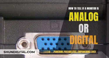 Analog vs Digital Monitors: How to Distinguish?