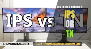 IPS vs TN Panels: Quick Ways to Distinguish Monitor Types